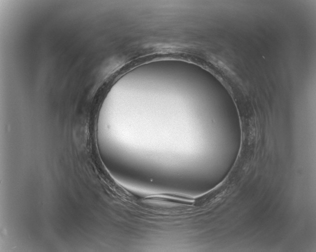 X0000060781261200511141407