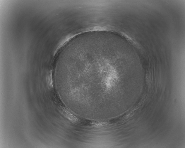 X0000060781262200511141407