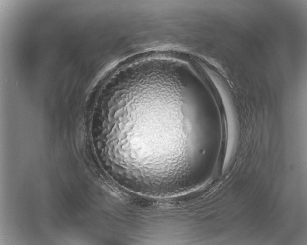 X0000060781263200511141407