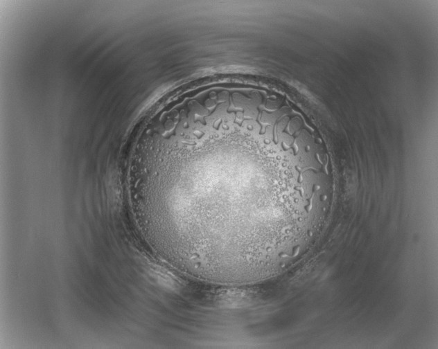 X0000060781266200511141407