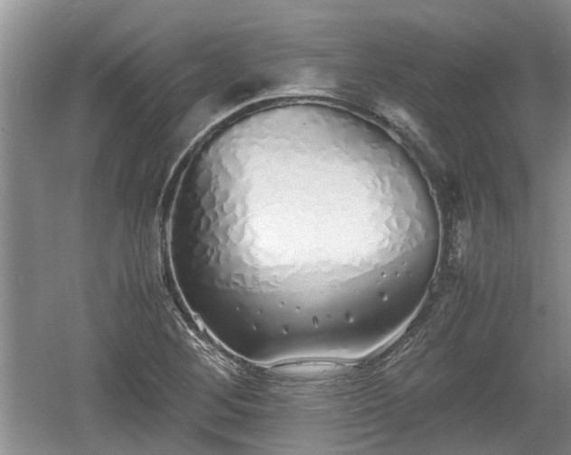 X0000060781268200511141407