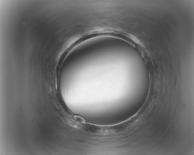 X0000060781269200511141407