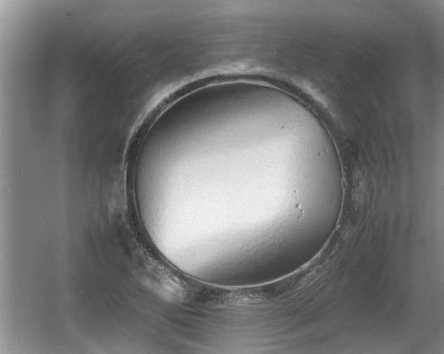 X0000060781270200511141407