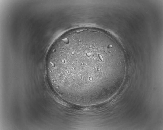 X0000060781271200511141407