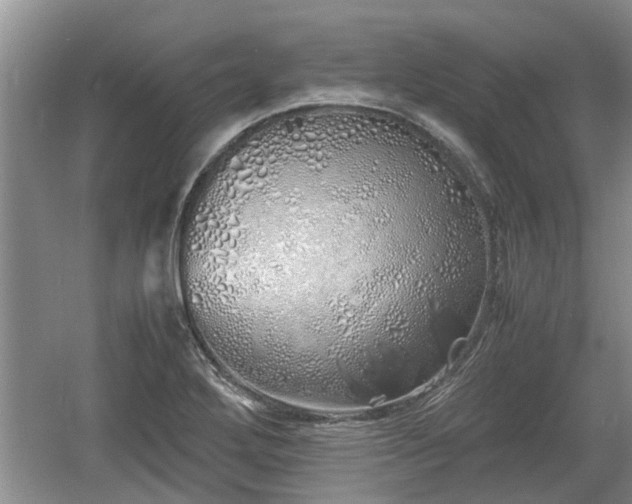 X0000060781272200511141407