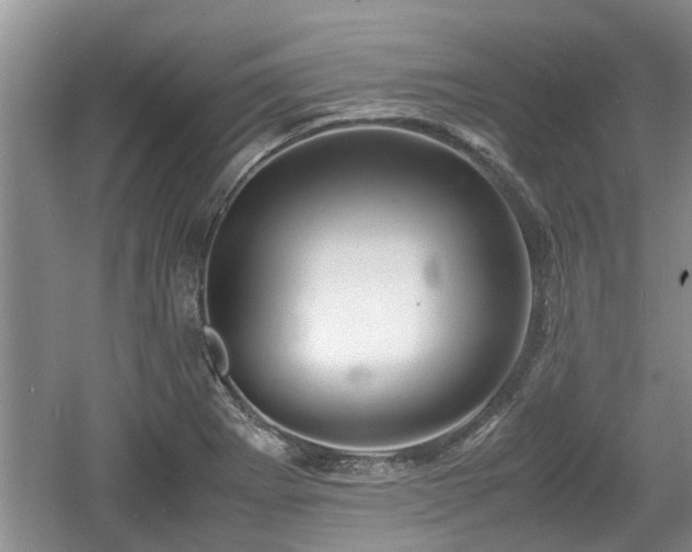 X0000060781273200511141407