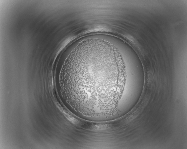 X0000060781274200511141407