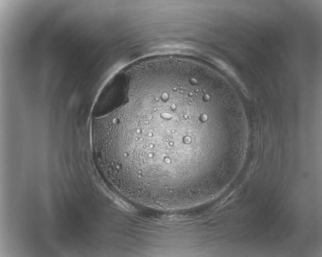 X0000060781275200511141407