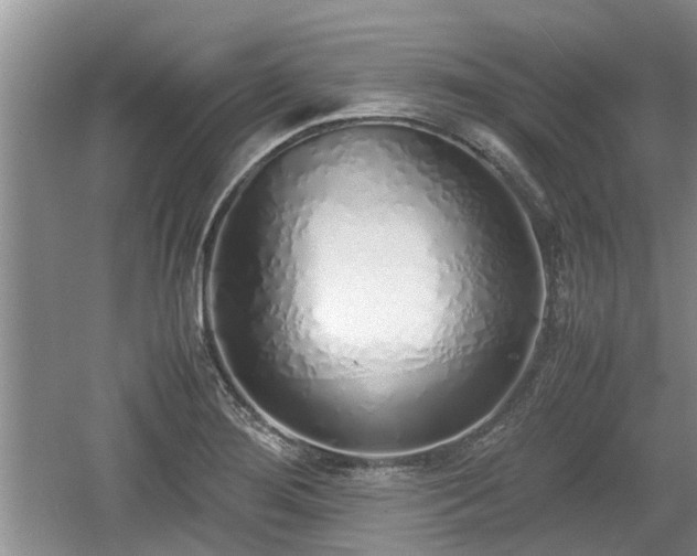 X0000060781276200511141407