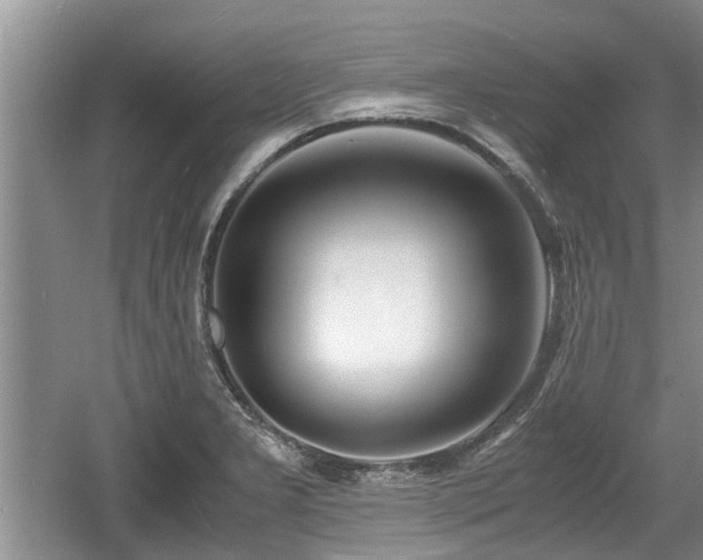 X0000060781277200511141407