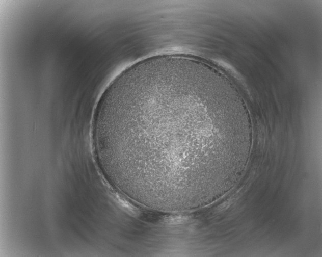 X0000060781278200511141407