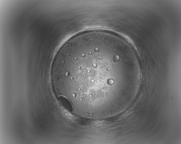 X0000060781279200511141407