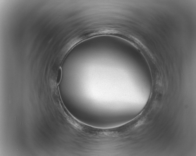 X0000060781281200511141407