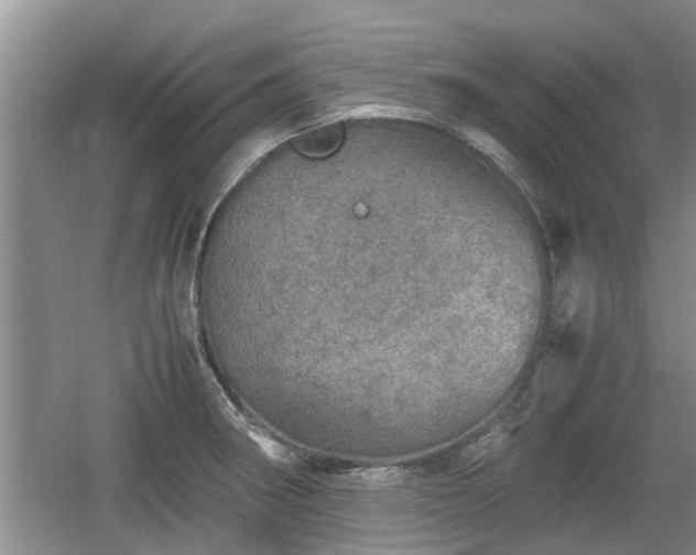 X0000060781282200511141407