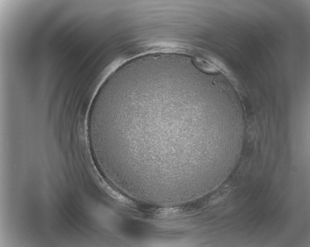 X0000060781283200511141407