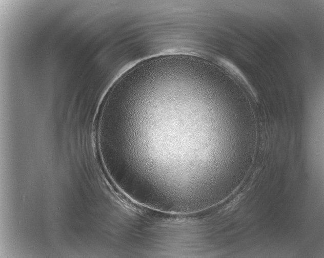 X0000060781284200511141407