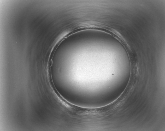 X0000060781285200511141407