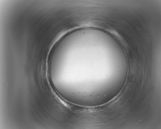 X0000060781286200511141407