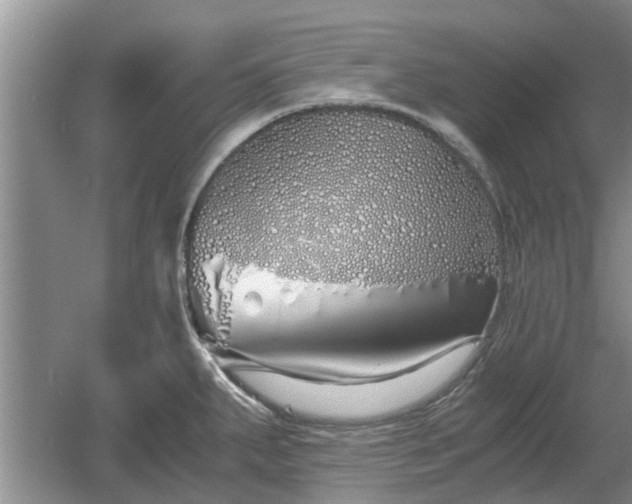 X0000060781287200511141407