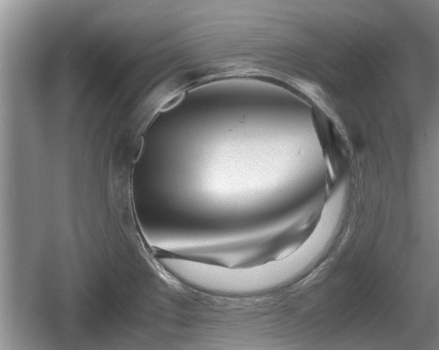 X0000060781289200511141407