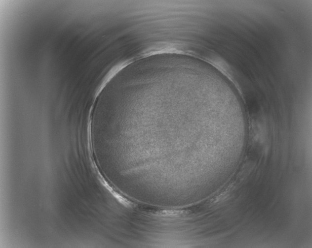 X0000060781290200511141407