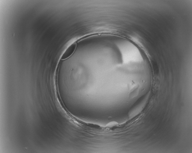 X0000060781291200511141407