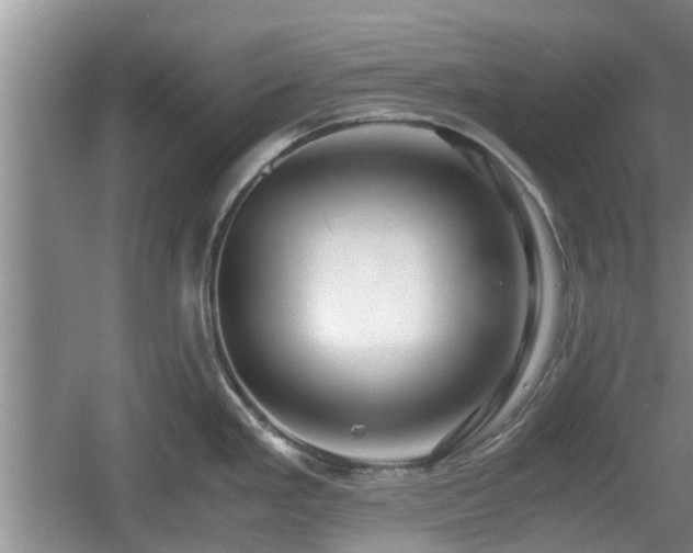 X0000060781293200511141407