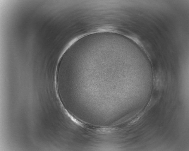 X0000060781294200511141407