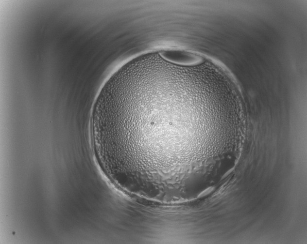 X0000060781295200511141407