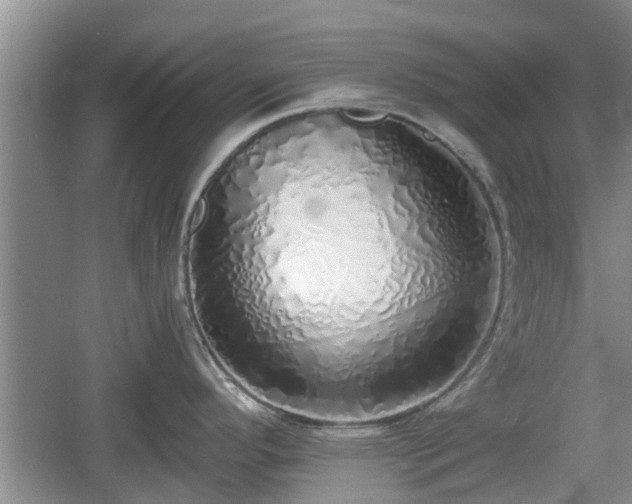 X0000060781296200511141407