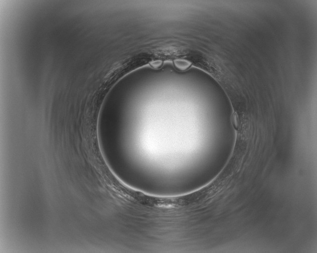 X0000060781297200511141406