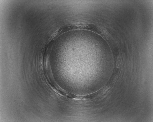 X0000060781298200511141406