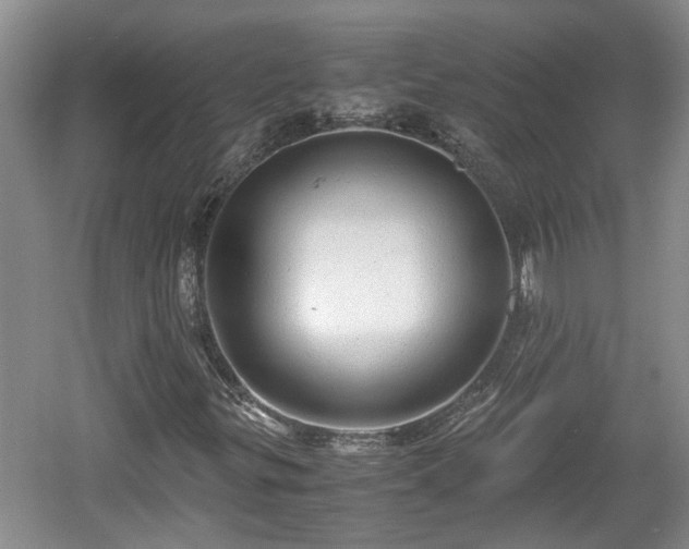 X0000060781299200511141406