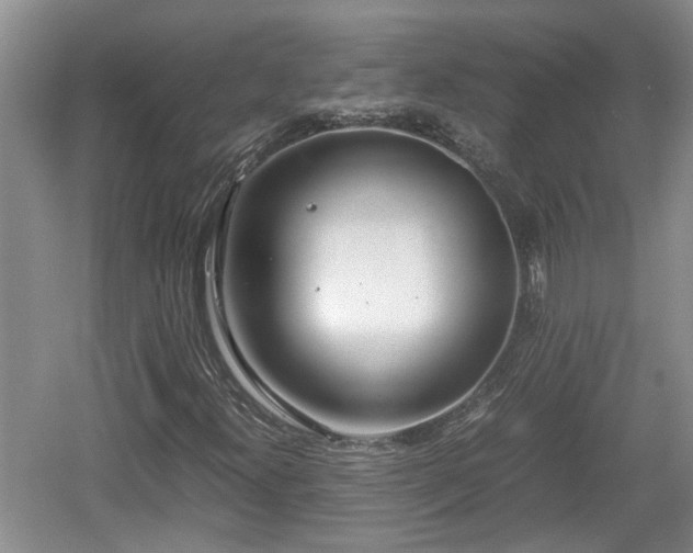 X0000060781300200511141406