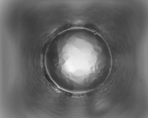 X0000060781301200511141406