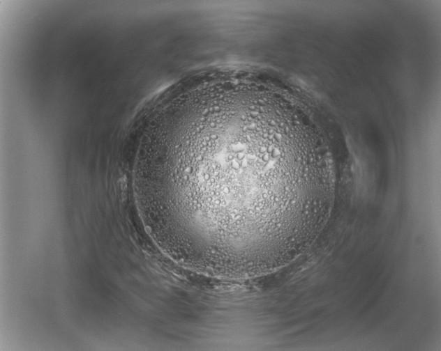 X0000060781302200511141406