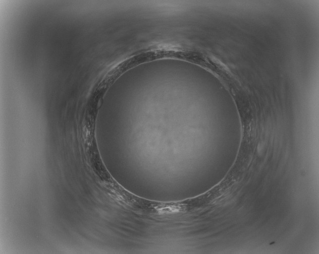 X0000060781303200511141406