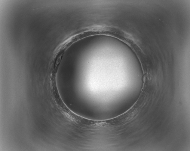 X0000060781304200511141406