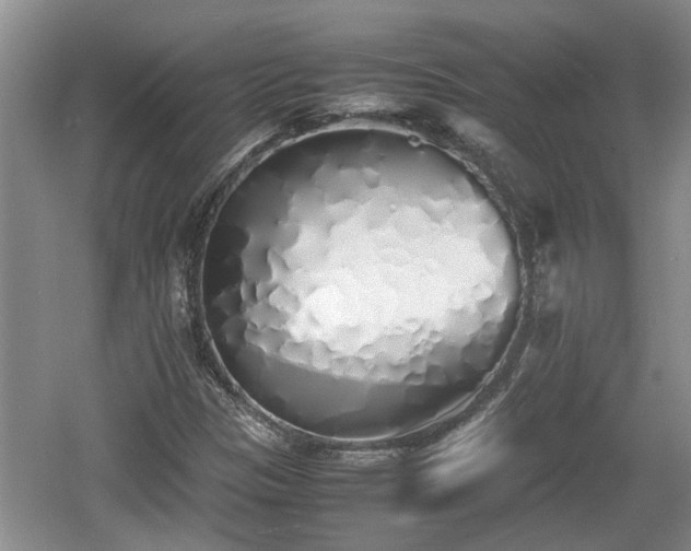 X0000060781305200511141406