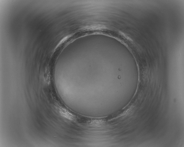 X0000060781306200511141406