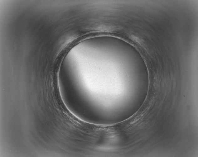 X0000060781307200511141406