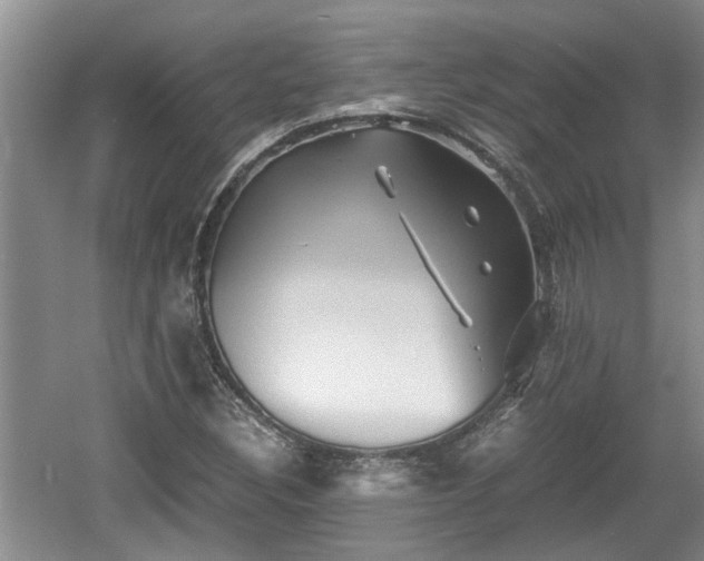 X0000060781308200511141406