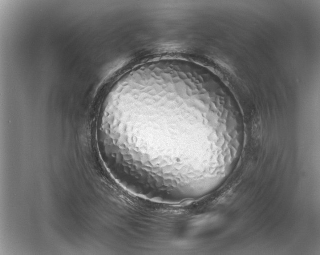 X0000060781309200511141406