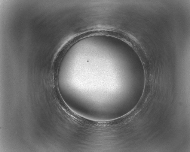 X0000060781310200511141406