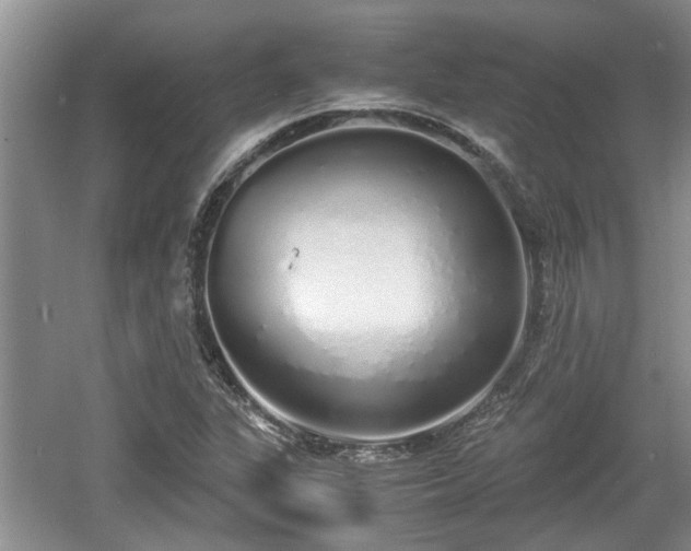 X0000060781311200511141406