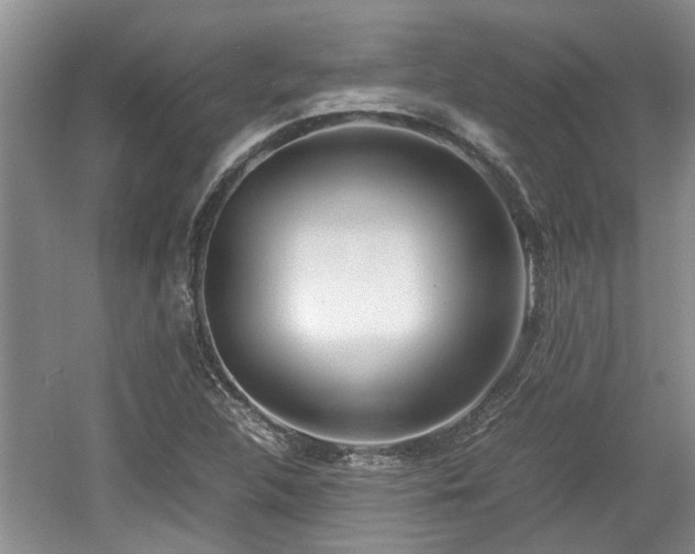 X0000060781312200511141406