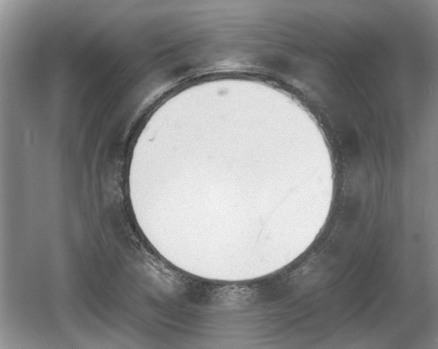 X0000060781314200511141406