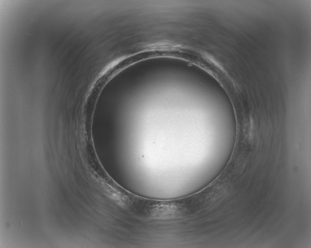 X0000060781315200511141406