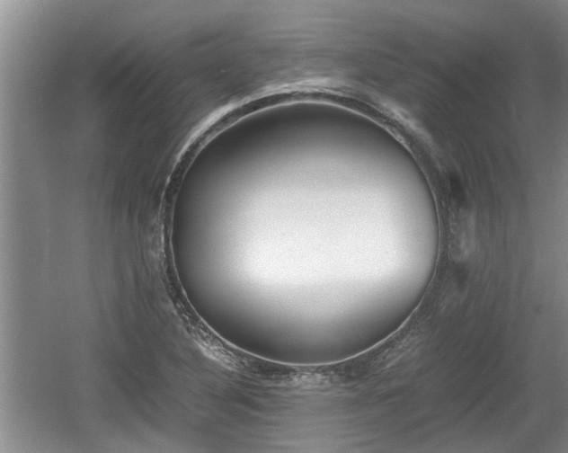 X0000060781316200511141406