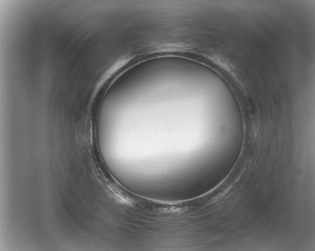 X0000060781317200511141406